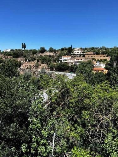 El puente de lata 2, Granada (fotografie 6)