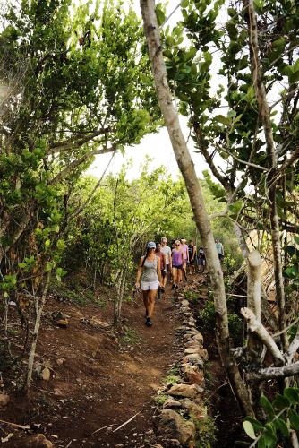 The Aerial, BVI All-Inclusive Private Island