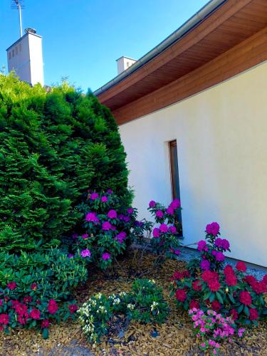 Apartament przy lesie
