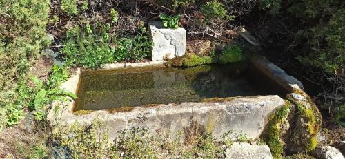 Surrounding environment, L 'EDELWEISS de 1 a 9 personnes in Brion (Rhone-Alpes)