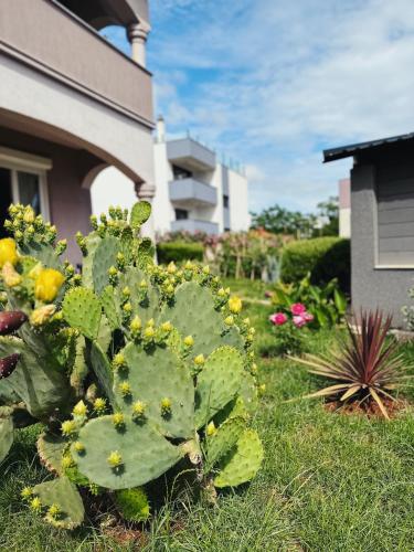  Apartments Vukalovic, 52203 Medulin