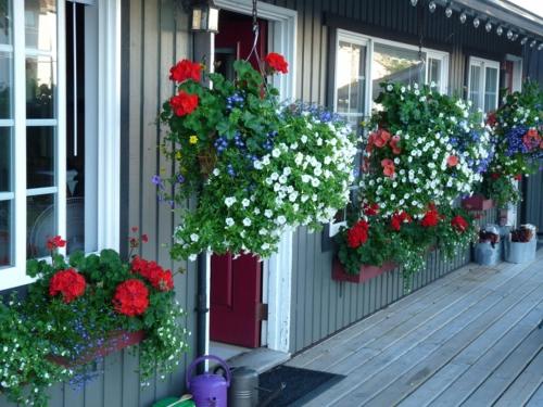 المرافق, Driftwood by the Sea Inn in Campbell River