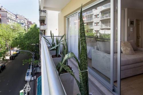 Baires Homes - Belgrano near La Amistad