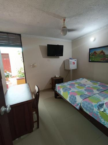 Standard Double Room with Fan room in Hotel Colonial Inn