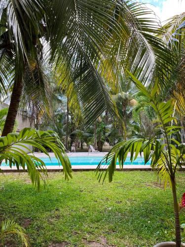 Beautiful Apartment surrounded by nature w/Pool in Cancún, Mexico