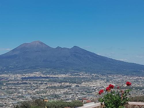 La Vigna del Vento