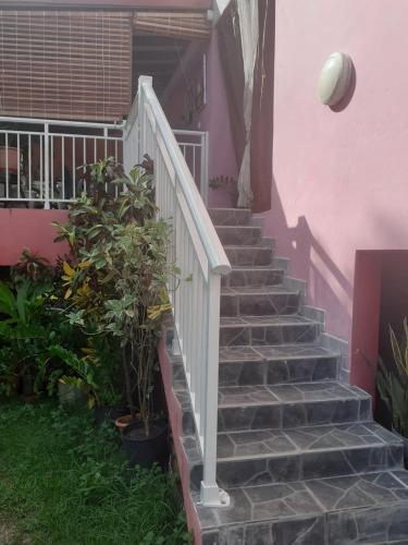 Sous le manguier - Location saisonnière - Sainte-Anne