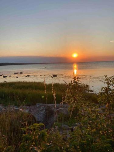 beach room in Snogebaek