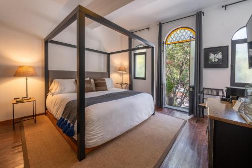 Orchid House Polanco Orchid House Polanco