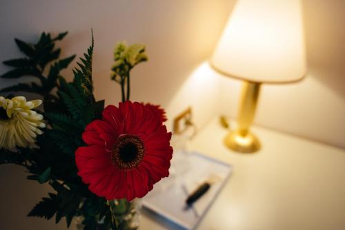 Sar'Otel Boutique Hotel, Tirana (Foto 11)