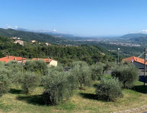 Valdonica - Relax in campagna