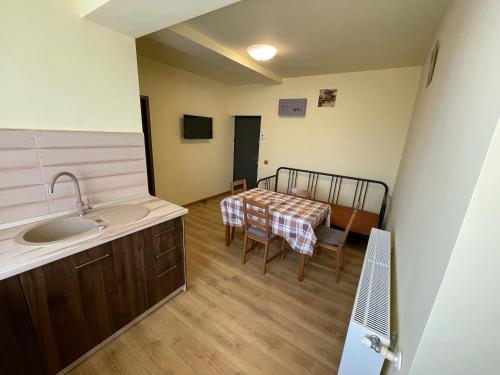 Pyky Apartment, Baia Mare (foto 8)