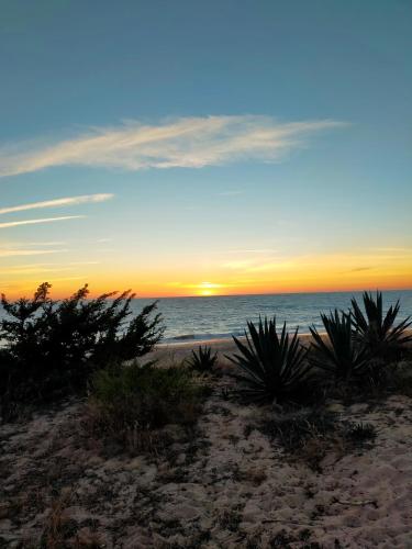 SOLEA 17, Rota (photo 2)
