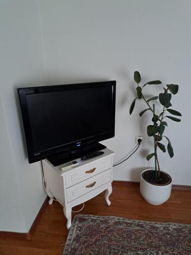 Apartments Thea - image 7