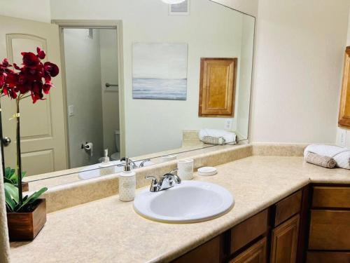 Cozy 2BR Apt in Webster, TX Home away from Home! in Webster, USA