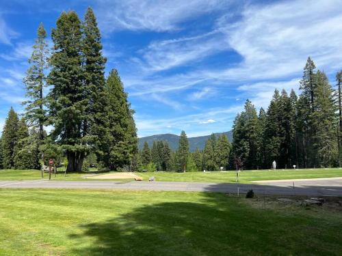 Lake Almanor Country Club Rustic Retro Cottage