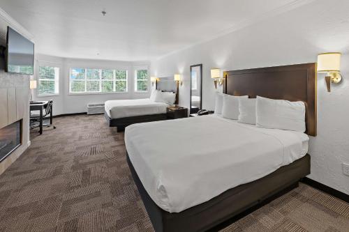 1 king bed, 1 queen bed, 1 sofa bed