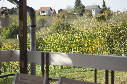 Kilátás, Holiday house with a parking space Graberje Ivanicko, Prigorje - 21324 in Graberje Ivanicko