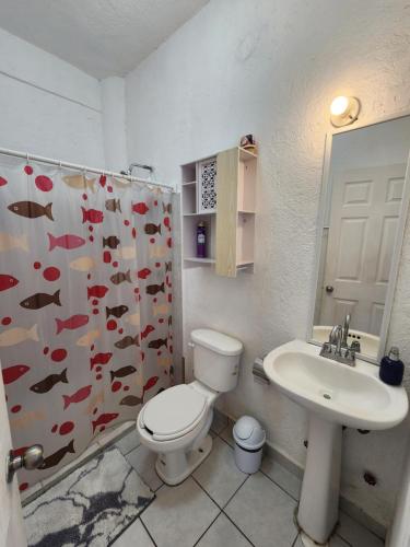 1 BR APT with AC , TV , wi-fi near DT and beach, Сиуатанехо (фото 6)