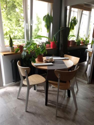 Mieszkanie 5 min od morza!/ Studio near the sea in Brzezno