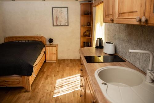 Agnesy Room Type - Apartment with Terrace