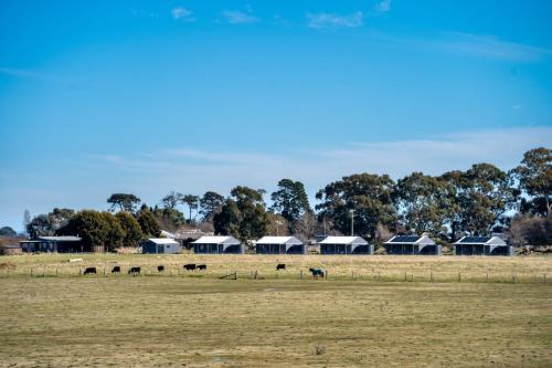 Glenowrie Cottage - 1 King 2 Singles - Farm Stay in Forest Reefs