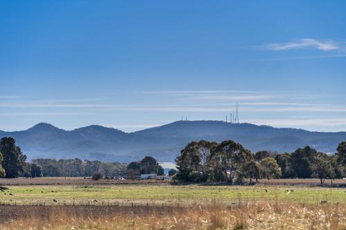 Glenowrie Cottage - 1 King 2 Singles - Farm Stay in Forest Reefs