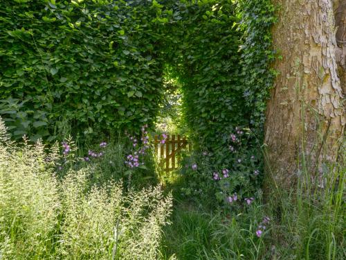 Bluebell Cottage