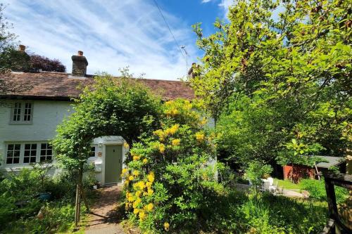 Ashdown Forest character cottage, 18th Century