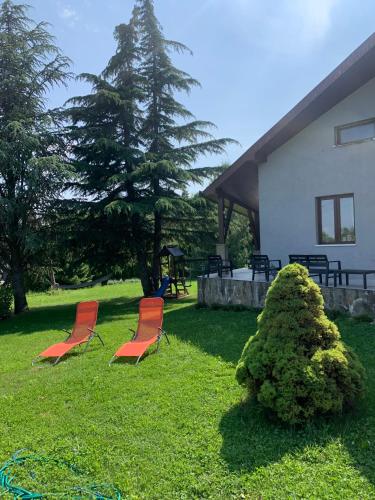 Villa Zala - image 7