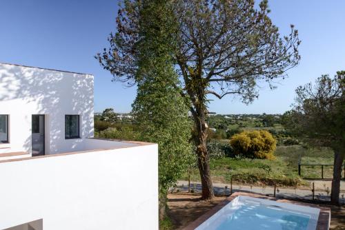 Casa Modesta