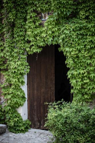 Son Boronat - image 11