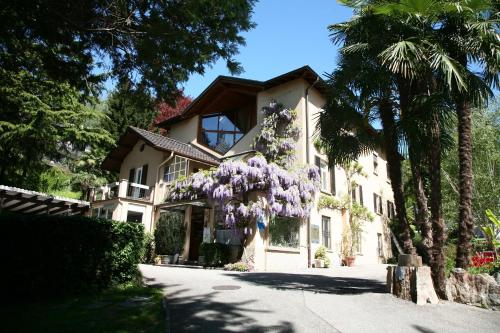 Lugano Savosa Youth Hostel - image 11