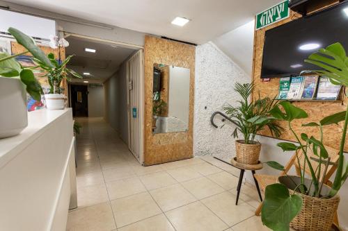 Vestíbulo, Little Prince Hostel in Eilat