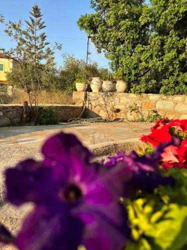 Σελήνη Σελήνη