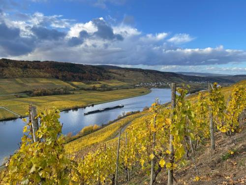 Weingut und Gästezimmer Jörg Thul (Weingut und Gastezimmer Jorg Thul) in Detzem