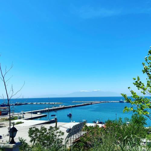  Elena's Apartments, Unterkunft in Néa Michanióna