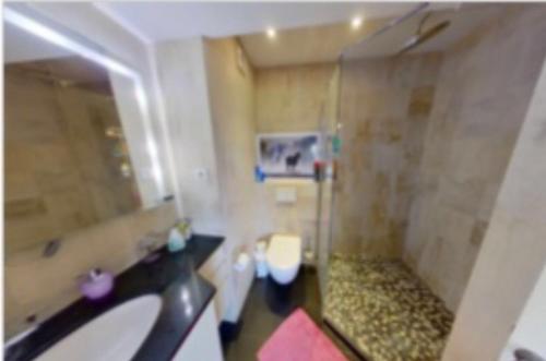 Bathroom, Chambres a loyers dans un Penthause in Bourg-la-Reine