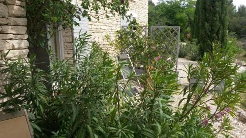Le Logis, Gordes (fotografie 7)
