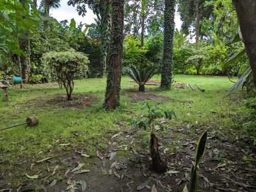 Ilboru Safari Lodge