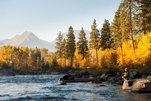 A Peace of Pine by NW Comfy Cabins