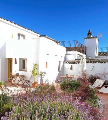 Ronda Romántica apartamentos, Ronda (photo 8)