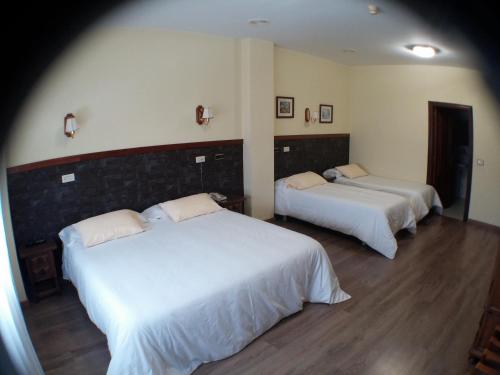 Hotel Los Olmos Room Type - Family Room