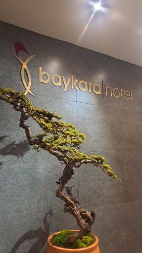 Baykara Hotel