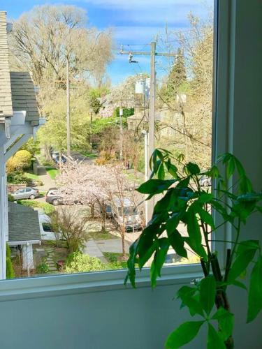 Lofty Studio Prime Cap Hill Area Mins to Downtown secondary
