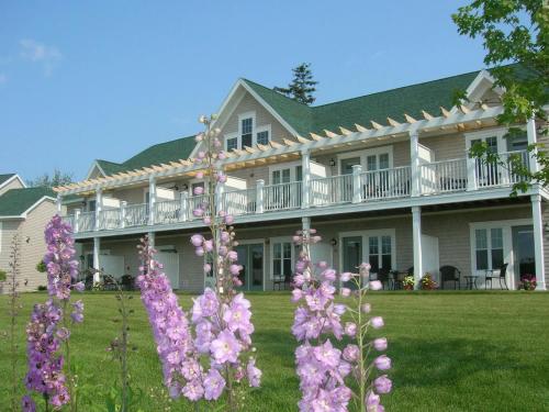 Sebasco Harbor Resort - image 3