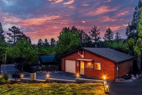 Cabin #6 Bobcat Bunkhouse - Pet Friendly - King Bed - Sleeps 4, Payson