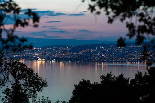 Le Garden - Vue lac - Piscine - Parking - Évian - Thonon - Lugrin