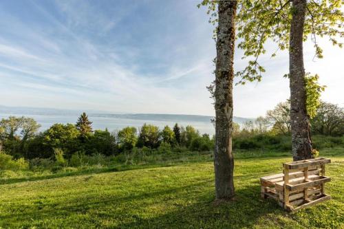 Le Garden - Vue lac - Piscine - Parking - Évian - Thonon - Lugrin