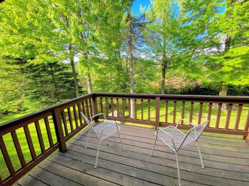 FC20 Comfortable Forest Cottage home - AC, great for kids, lots of yard space! Walk to the slopes!